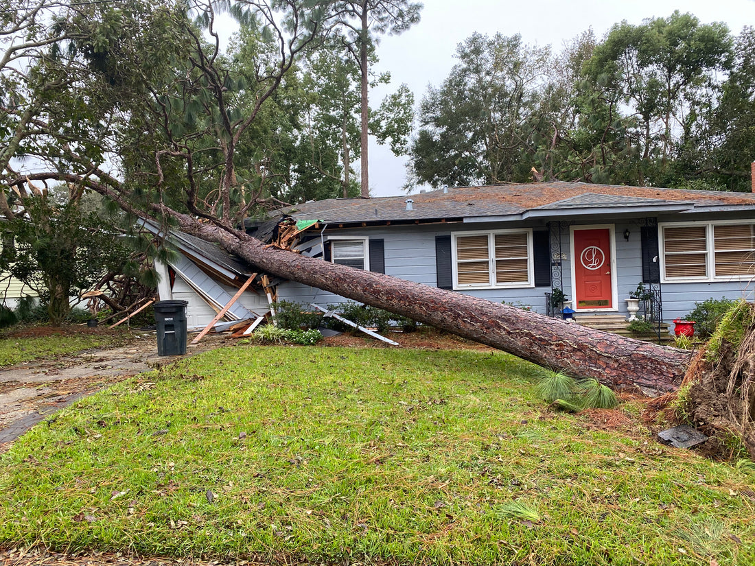 Phillips Tree Service - Vancleave, MS - 1-228-327-1971