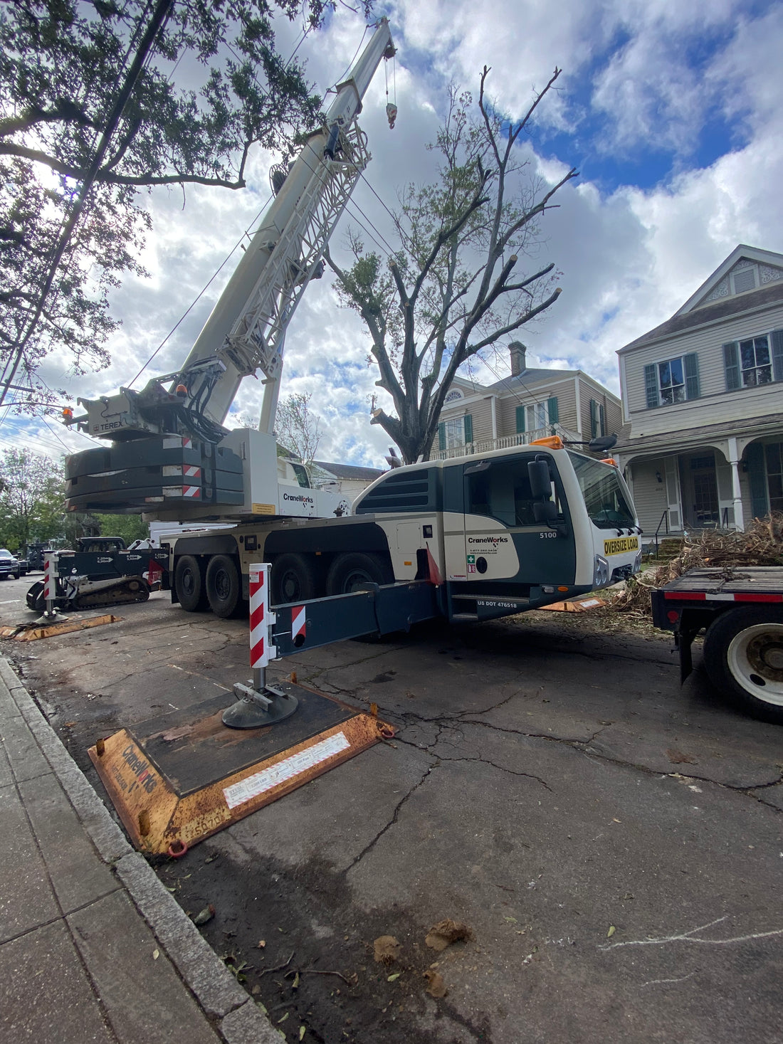 Ensuring the Health and Beauty of Your Trees: Phillips Tree Service