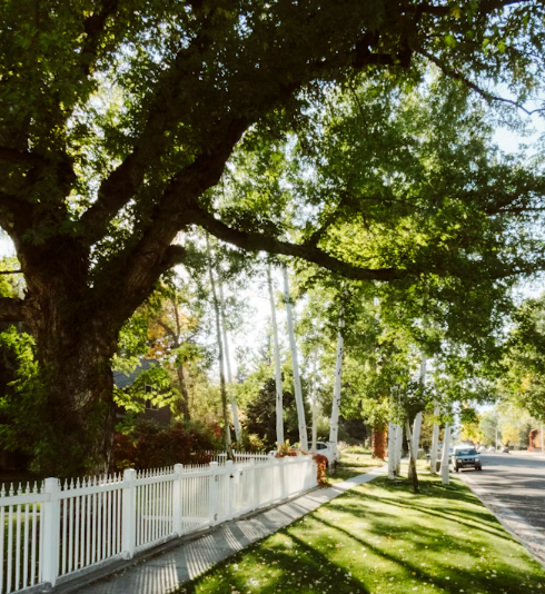 Join Our Team at Phillips Tree Services, Inc.