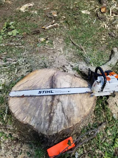 Phillips Tree Services, Inc.: Your Trusted Partner for Safe and Efficient Tree Removal