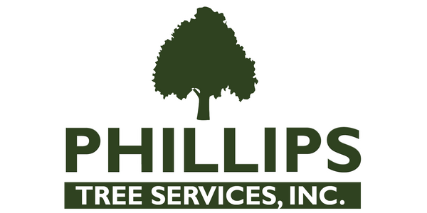 Phillips Tree Services